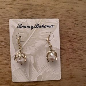 NEW Tommy Bahama Pearl Earrings